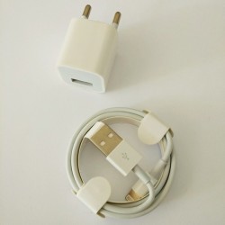 Зарядное устройство USB  5G iPhone X + кабель Ligftning